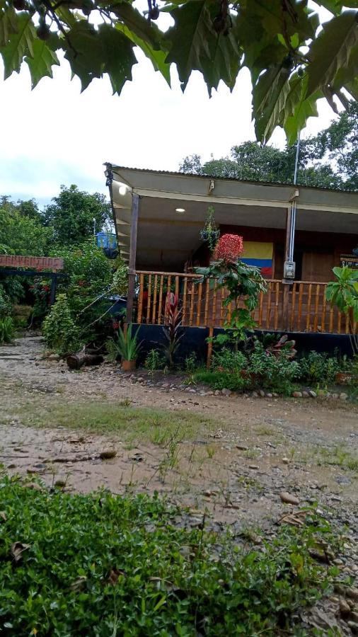 Hostal Cano Nevera La Macarena Extérieur photo